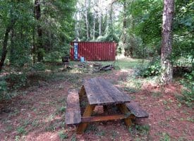 39+/- Acres of Hunting Land and Homesite for Sale in Cumberland County, NC!