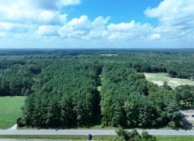 39+/- Acres of Hunting Land and Homesite for Sale in Cumberland County, NC!