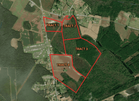 80+/- Acres of Timber and Hunting Land For Sale in Robeson County, NC!
