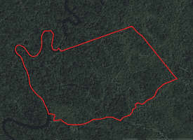 111+/- Acres of Hunting Land For Sale In Brunswick County, NC!