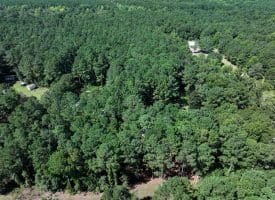 4+/- Acres of Residential Land For Sale In Sampson County, NC!