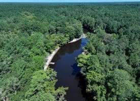Residential Lot For Sale in Sampson County, NC!