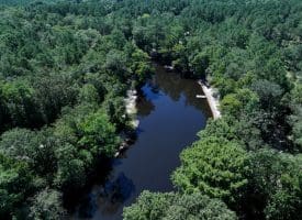 Residential Lot For Sale in Sampson County, NC!