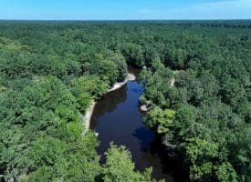 4+/- Acres of Residential Land For Sale In Sampson County, NC!