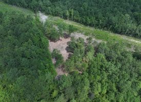 30+/- Acres of Farm and Timber Land for Sale in Robeson County, NC!