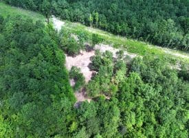 30+/- Acres of Farm and Timber Land for Sale in Robeson County, NC!