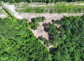 30+/- Acres of Farm and Timber Land for Sale in Robeson County, NC!