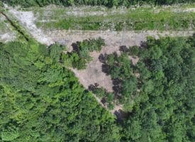 30+/- Acres of Farm and Timber Land for Sale in Robeson County, NC!