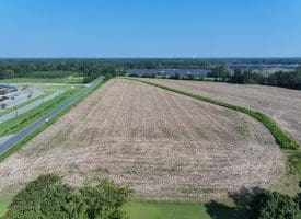 30+/- Acres of Farm and Timber Land For Sale in Scotland County, NC!