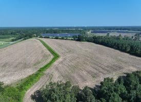 30+/- Acres of Farm and Timber Land For Sale in Scotland County, NC!