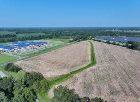 30+/- Acres of Farm and Timber Land For Sale in Scotland County, NC!