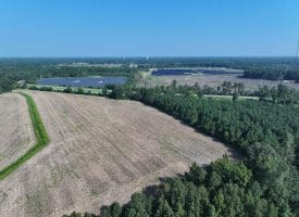 30+/- Acres of Farm and Timber Land For Sale in Scotland County, NC!
