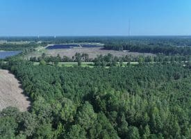 30+/- Acres of Farm and Timber Land For Sale in Scotland County, NC!