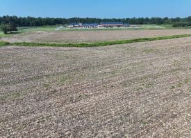 30+/- Acres of Farm and Timber Land For Sale in Scotland County, NC!