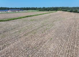 30+/- Acres of Farm and Timber Land For Sale in Scotland County, NC!