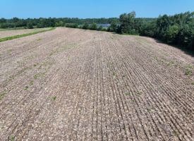 30+/- Acres of Farm and Timber Land For Sale in Scotland County, NC!