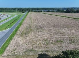 30+/- Acres of Farm and Timber Land For Sale in Scotland County, NC!