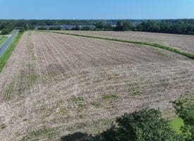 30+/- Acres of Farm and Timber Land For Sale in Scotland County, NC!