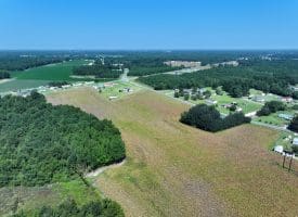 18+/- Acres of Farm and Timber Land For Sale in Robeson County, NC!