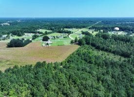 30+/- Acres of Farm and Timber Land for Sale in Robeson County, NC!