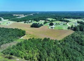 30+/- Acres of Farm and Timber Land for Sale in Robeson County, NC!