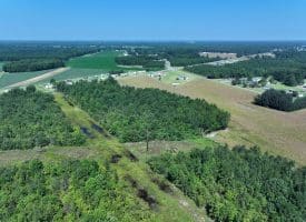18+/- Acres of Farm and Timber Land For Sale in Robeson County, NC!