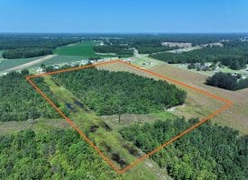 18+/- Acres of Farm and Timber Land For Sale in Robeson County, NC!