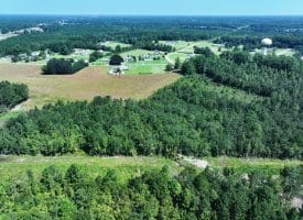 30+/- Acres of Farm and Timber Land for Sale in Robeson County, NC!