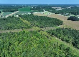 18+/- Acres of Farm and Timber Land For Sale in Robeson County, NC!