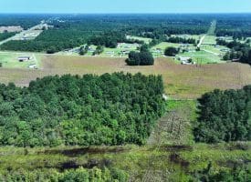 30+/- Acres of Farm and Timber Land for Sale in Robeson County, NC!