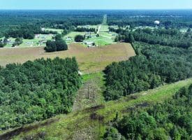 30+/- Acres of Farm and Timber Land for Sale in Robeson County, NC!