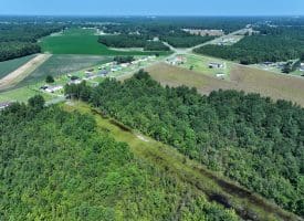 18+/- Acres of Farm and Timber Land For Sale in Robeson County, NC!
