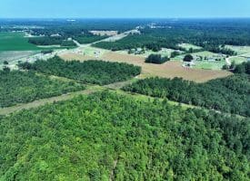 30+/- Acres of Farm and Timber Land for Sale in Robeson County, NC!