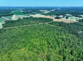 30+/- Acres of Farm and Timber Land for Sale in Robeson County, NC!