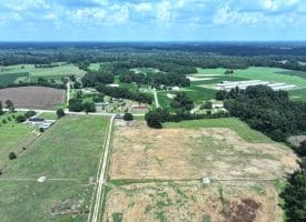 12+/- Acres of Farm Land For Sale In Robeson County, NC!