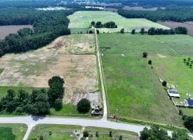 12+/- Acres of Farm Land For Sale In Robeson County, NC!