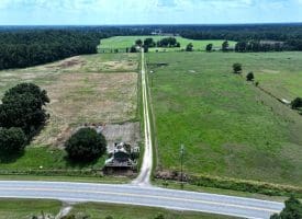 12+/- Acres of Farm Land For Sale In Robeson County, NC!