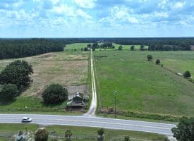 12+/- Acres of Farm Land For Sale In Robeson County, NC!