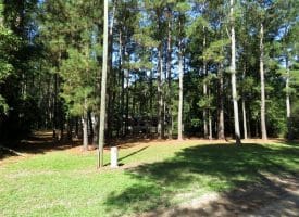 4+/- Acres of Residential Land For Sale In Sampson County, NC!