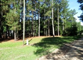 4+/- Acres of Residential Land For Sale In Sampson County, NC!