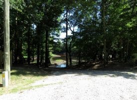 4+/- Acres of Residential Land For Sale In Sampson County, NC!