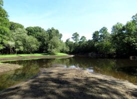 Residential Lot For Sale in Sampson County, NC!