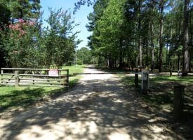 Residential Lot For Sale in Sampson County, NC!