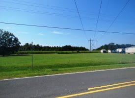 30+/- Acres of Farm and Timber Land for Sale in Robeson County, NC!