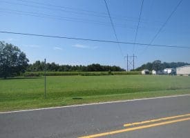 30+/- Acres of Farm and Timber Land for Sale in Robeson County, NC!