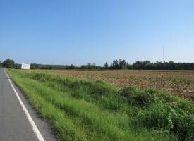 30+/- Acres of Farm and Timber Land For Sale in Scotland County, NC!