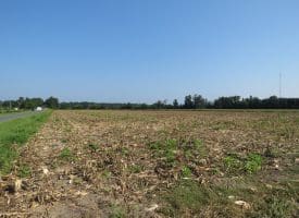 30+/- Acres of Farm and Timber Land For Sale in Scotland County, NC!