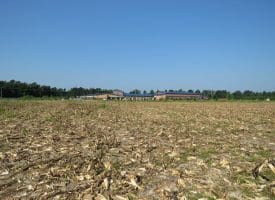30+/- Acres of Farm and Timber Land For Sale in Scotland County, NC!