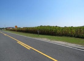 18+/- Acres of Farm and Timber Land For Sale in Robeson County, NC!