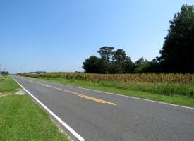 18+/- Acres of Farm and Timber Land For Sale in Robeson County, NC!